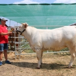 Farmer-expo 2022